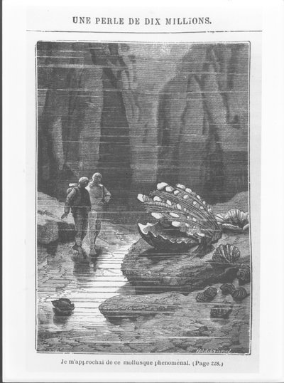 Illustrazione da 